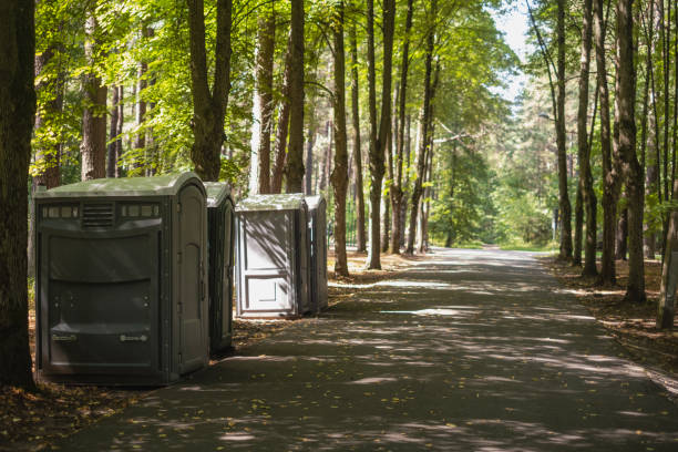 Best Sanitation services for porta potties  in Mesilla, NM